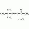 O-乙?；?N-叔丁基羥胺鹽酸鹽>98%