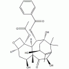 10-脫乙?；涂ǘ?III CAS 32981-86-5